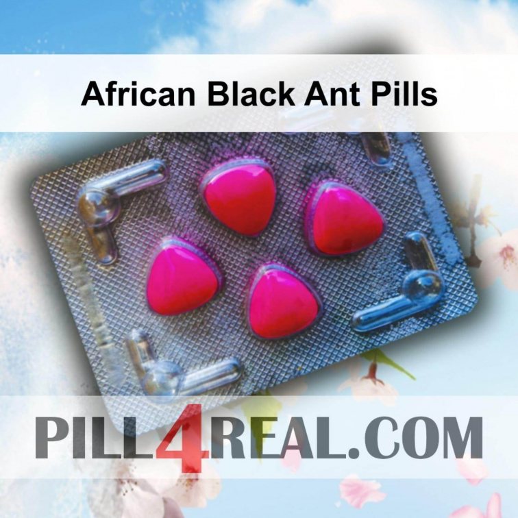 African Black Ant Pills 034