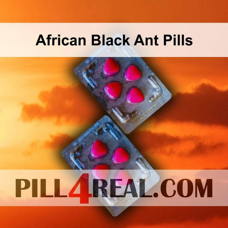 African Black Ant Pills 101