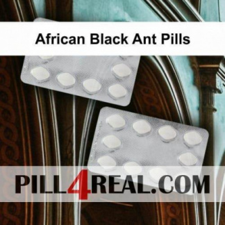 African Black Ant Pills 117