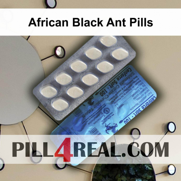 African Black Ant Pills 147