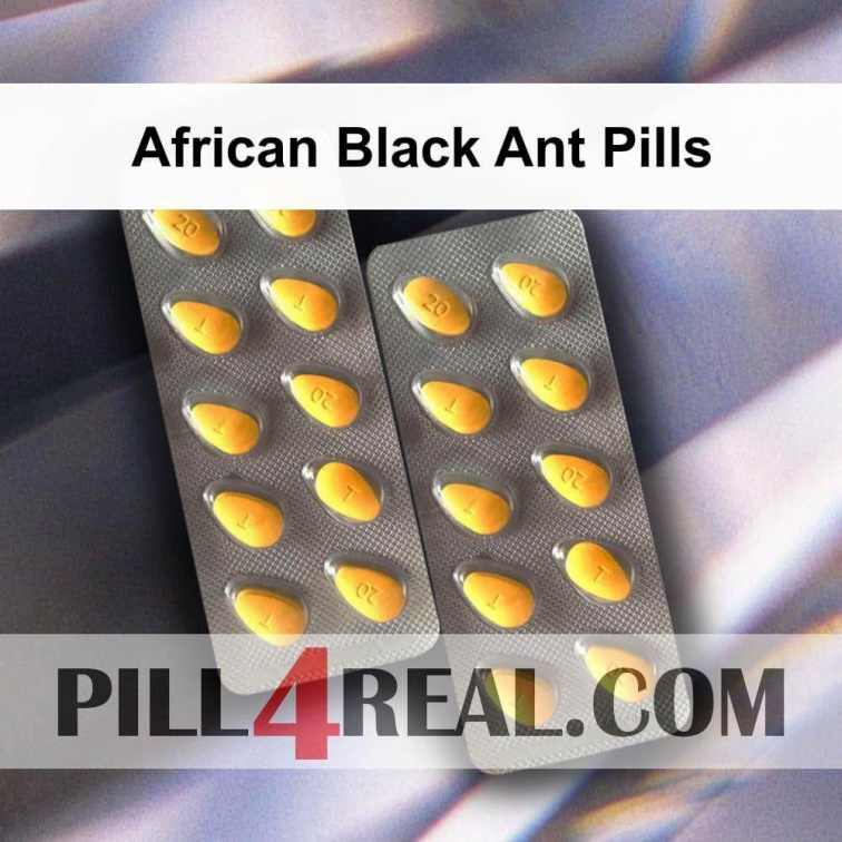 African Black Ant Pills 320