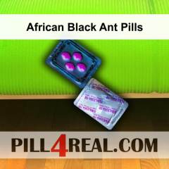 African Black Ant Pills 361