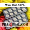 African Black Ant Pills 461