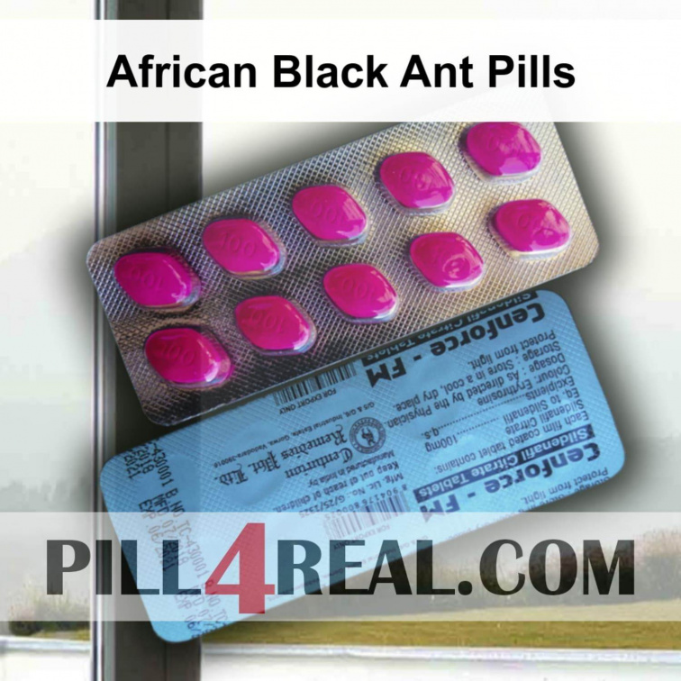 African Black Ant Pills 497