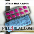 African Black Ant Pills 497