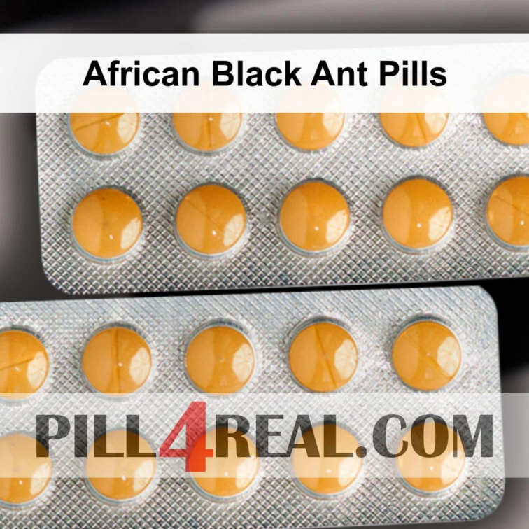 African Black Ant Pills 507
