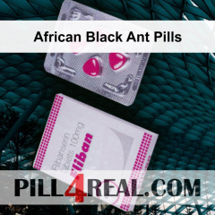 African Black Ant Pills 543