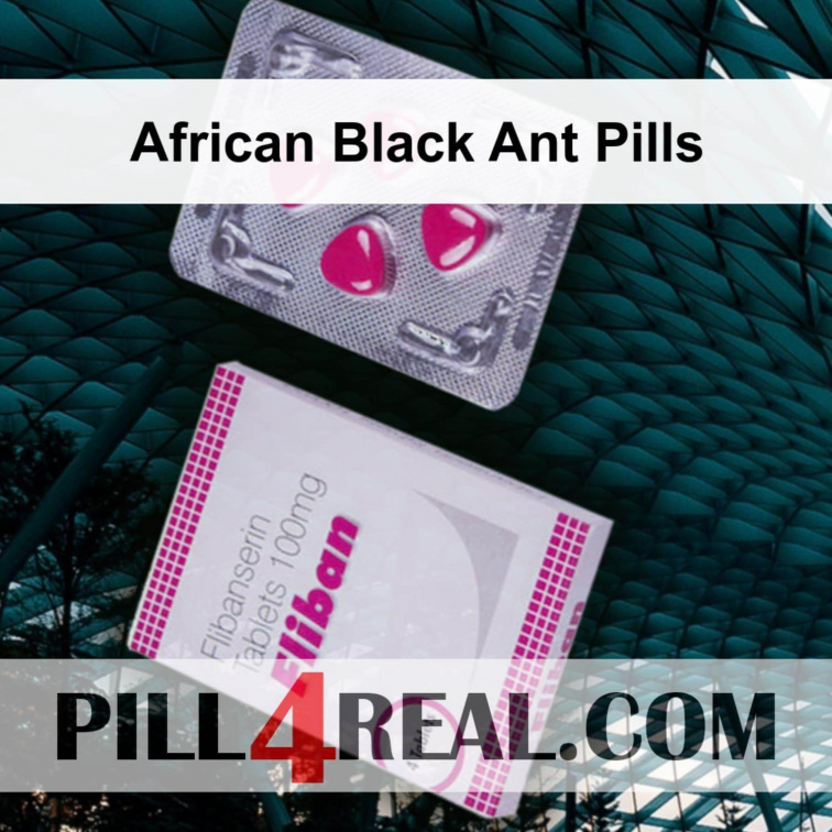African Black Ant Pills 543