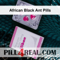 African Black Ant Pills 543
