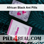 African Black Ant Pills 543