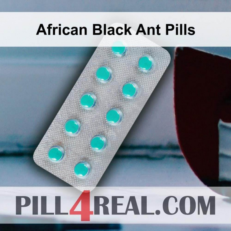 African Black Ant Pills 546