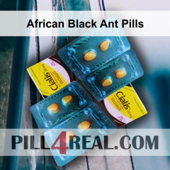 African Black Ant Pills 591