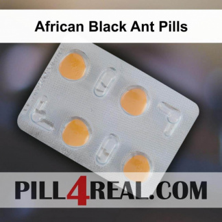 African Black Ant Pills 621
