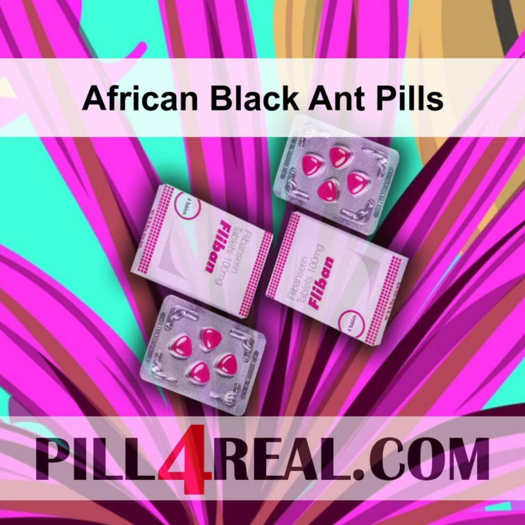 African Black Ant Pills 697