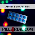 African Black Ant Pills 728