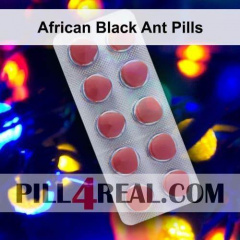 African Black Ant Pills 739
