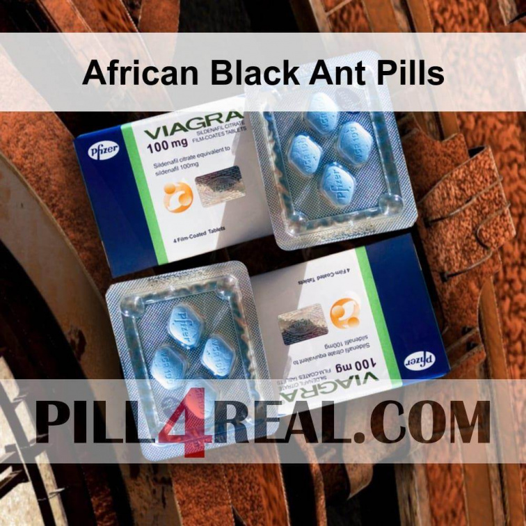 African Black Ant Pills 791