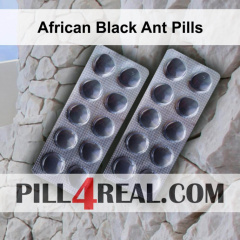 African Black Ant Pills 818