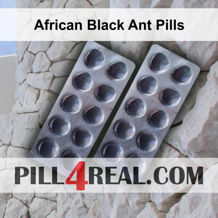 African Black Ant Pills 818