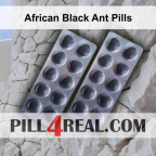 African Black Ant Pills 818