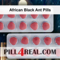 African Black Ant Pills 874