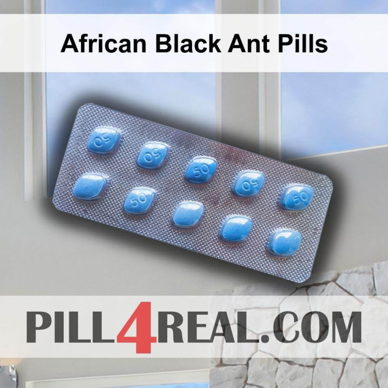 African Black Ant Pills 905