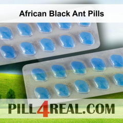 African Black Ant Pills 981