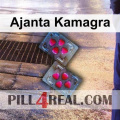 Ajanta Kamagra 072