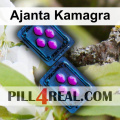 Ajanta Kamagra 104