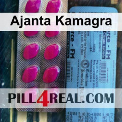 Ajanta Kamagra 256