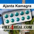 Ajanta Kamagra 338