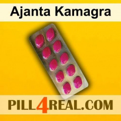 Ajanta Kamagra 355