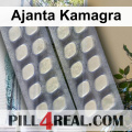 Ajanta Kamagra 385