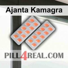 Ajanta Kamagra 548