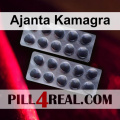 Ajanta Kamagra 553