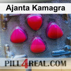 Ajanta Kamagra 676