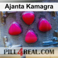 Ajanta Kamagra 676