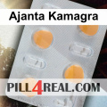 Ajanta Kamagra 897