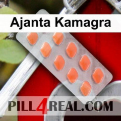 Ajanta Kamagra 910