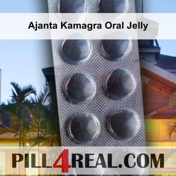 Ajanta Kamagra Oral Jelly 109