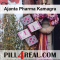 Ajanta Pharma Kamagra 206