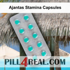 Ajantas Stamina Capsules 294