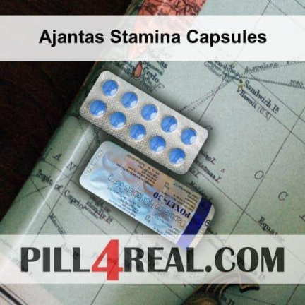 Ajantas Stamina Capsules 310