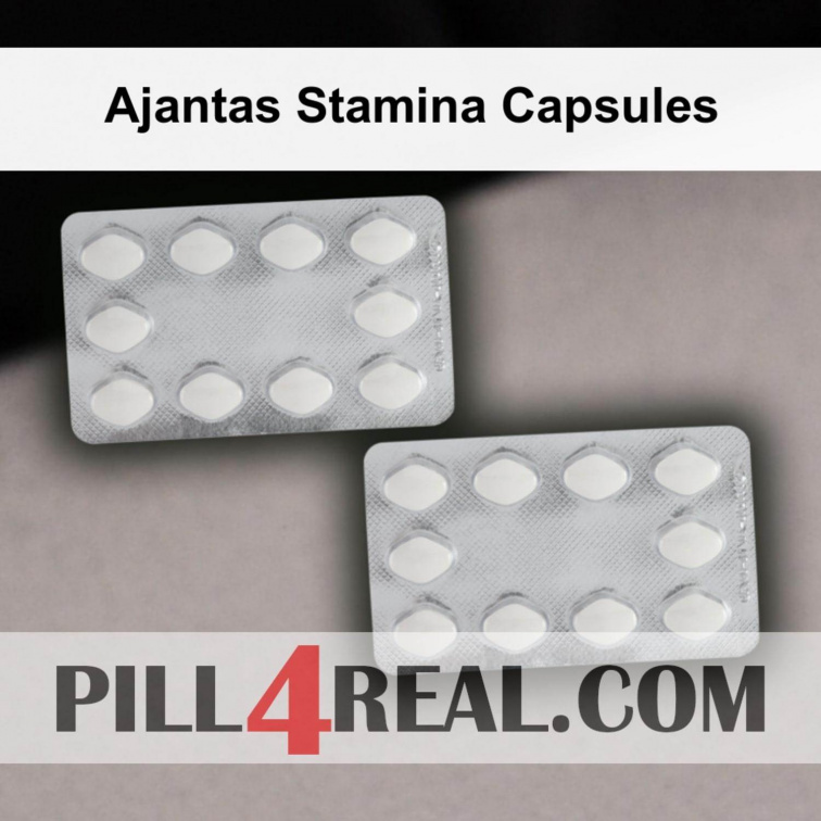 Ajantas Stamina Capsules 480