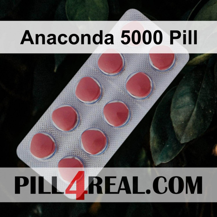 Anaconda 5000 Pill 723