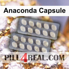 Anaconda Capsule 022