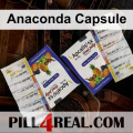 Anaconda Capsule 031