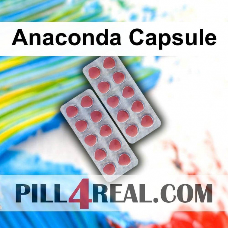 Anaconda Capsule 082