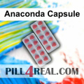 Anaconda Capsule 082