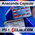 Anaconda Capsule 083